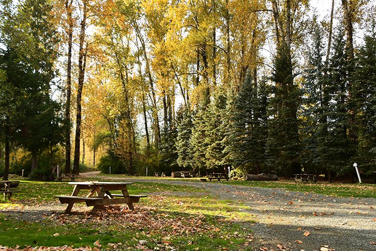 The campground in fall